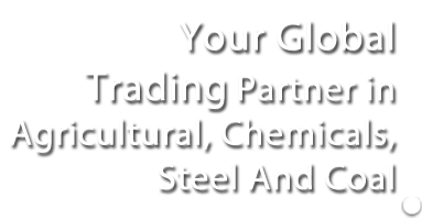 Your partner in Steel and Raw material Trade